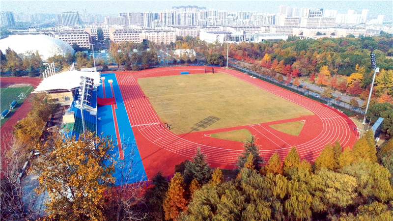 运动场2.jpg